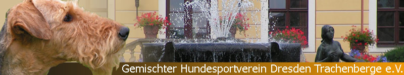 Banner Termine Banner Termine